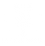 LogoB-Nuevo-Cevicheria